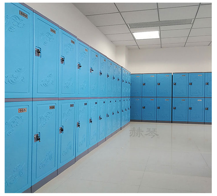 二層塑料更衣柜儲物柜實拍案例六 二層塑料更衣柜儲物柜實拍案例六